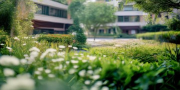 长春天华小区的物业究竟叫什么？