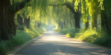 柳林路物业到底管不管事？