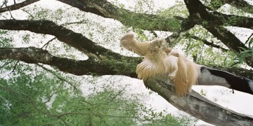 粮丰楼物业是什么？