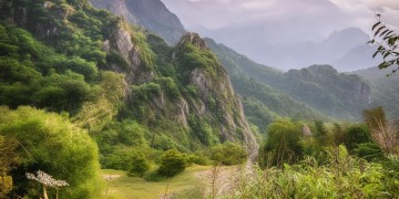 合肥兴园小区物业到底怎么样？
