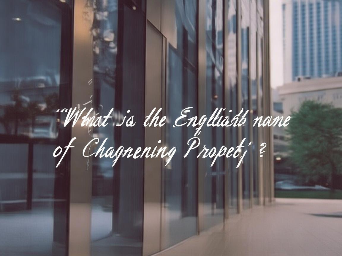 长宁物业英文名究竟是什么？